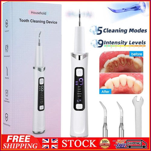 Electric plaque remover for - electric,